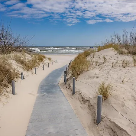 Linde 4 Heringsdorf (Usedom)